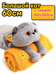 Кот Басик с пледом