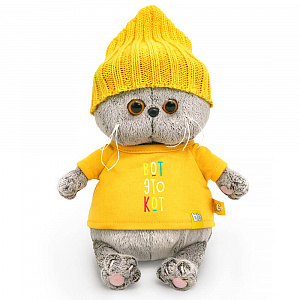 Кот Басик 20см baby в футболке "Вот это кот", короб
